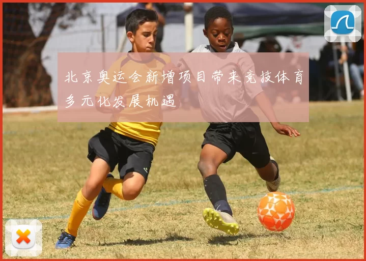 北京奥运会新增项目带来竞技体育多元化发展机遇
