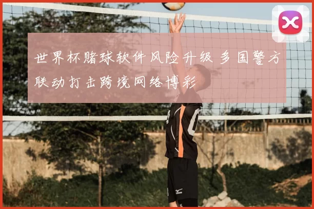 世界杯赌球软件风险升级 多国警方联动打击跨境网络博彩