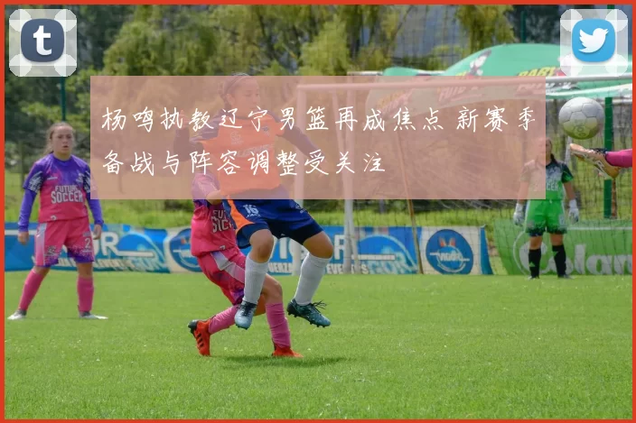 杨鸣执教辽宁男篮再成焦点 新赛季备战与阵容调整受关注