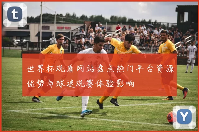 世界杯观看网站盘点热门平台资源优势与球迷观赛体验影响