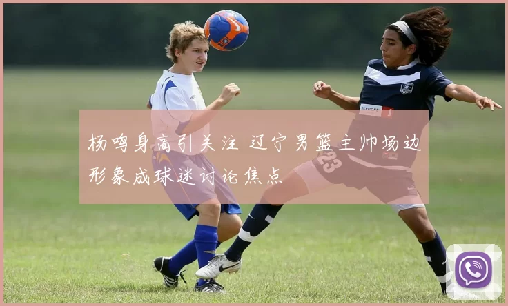 杨鸣身高引关注 辽宁男篮主帅场边形象成球迷讨论焦点