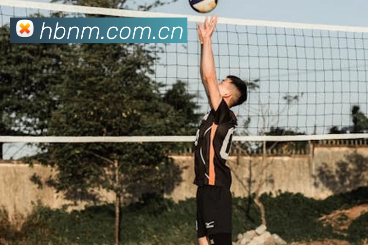 emc易倍·(中国)体育官方网站发展历程